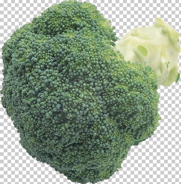 Broccoli PNG, Clipart, Broccoli Free PNG Download
