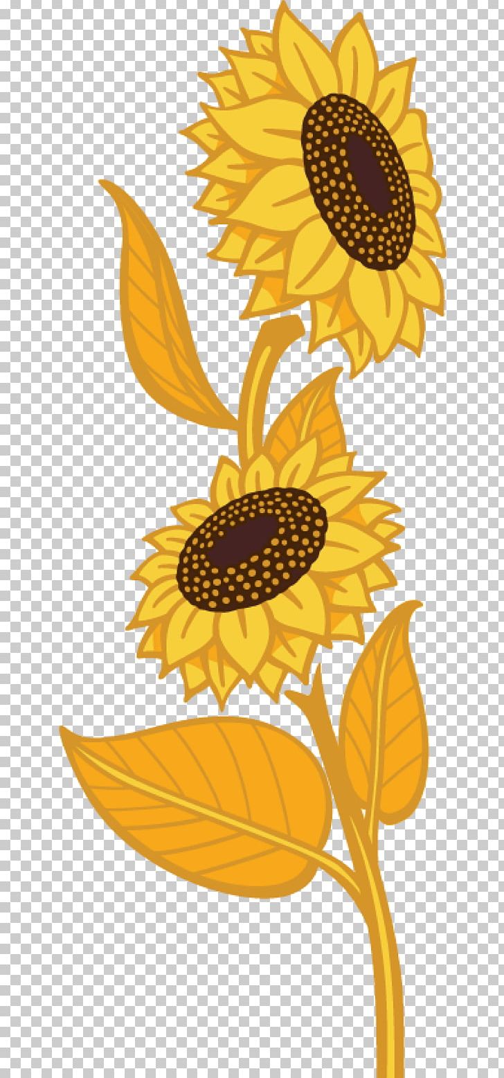 Common Sunflower Sunflower Seed Daisy Family Flax Plant PNG, Clipart, Common Sunflower, Daisy Family, Flax, Flora, Flower Free PNG Download