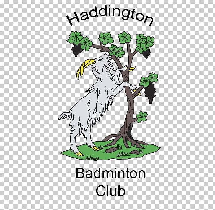 Haddington RFC Leisure Time Sports Rugby Union Beak PNG, Clipart, Art, Beak, Bird, Branch, Cartoon Free PNG Download