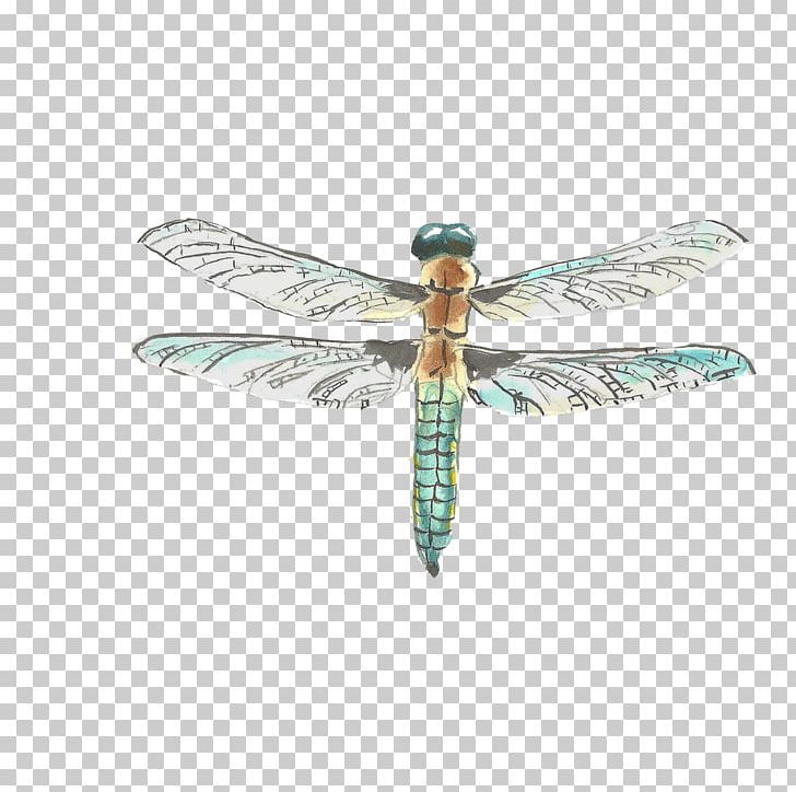 Watercolor Painting Drawing PNG, Clipart, Animal, Animals, Art, Dragonfly Creative, Encapsulated Postscript Free PNG Download