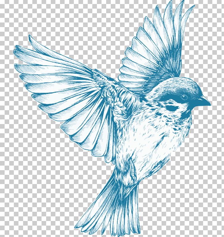 Bird Drawing For Girls Sketch PNG, Clipart, Animals, Barn Swallow, Beak, Bird, Bird Flight Free PNG Download