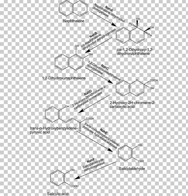 Naphthalene Polycyclic Aromatic Hydrocarbon Biodegradation PNG, Clipart, Angle, Area, Aromatic Hydrocarbon, Aromaticity, Auto Part Free PNG Download