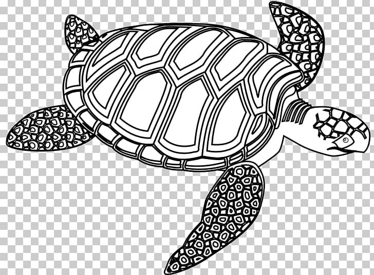 Sea Turtle Black And White PNG, Clipart, Art, Black And White, Drawing, Green Sea Turtle, Line Free PNG Download
