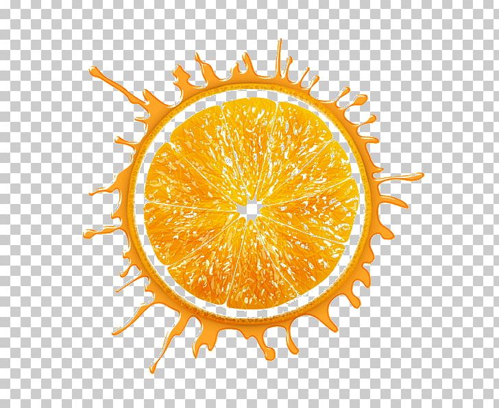 Lemon Drawing PNG, Clipart, Bitter Orange, Citric Acid, Citrus, Decoration, Drawing Free PNG Download