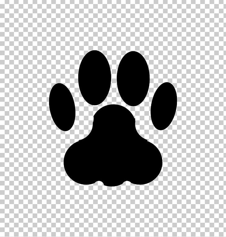 Cat Dog Animal Track Paw PNG, Clipart, Animals, Animal Track, Black, Black And White, Cat Free PNG Download