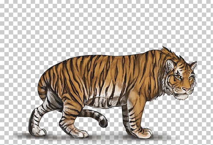 Siberian Tiger White Tiger Felidae Animal PNG, Clipart, African Lion, Animal, Animals, Big Cat, Big Cats Free PNG Download