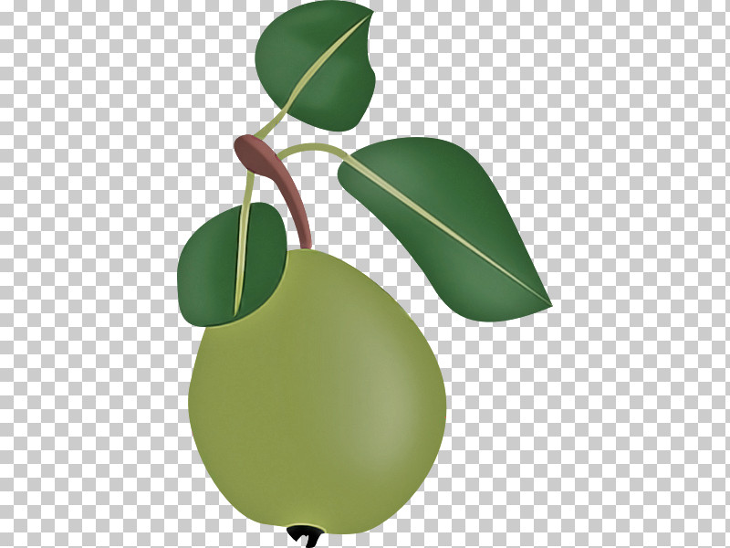 Leaf Fruit Plant Plant Structure Science PNG, Clipart, Biology, Fruit, Leaf, Plant, Plant Structure Free PNG Download