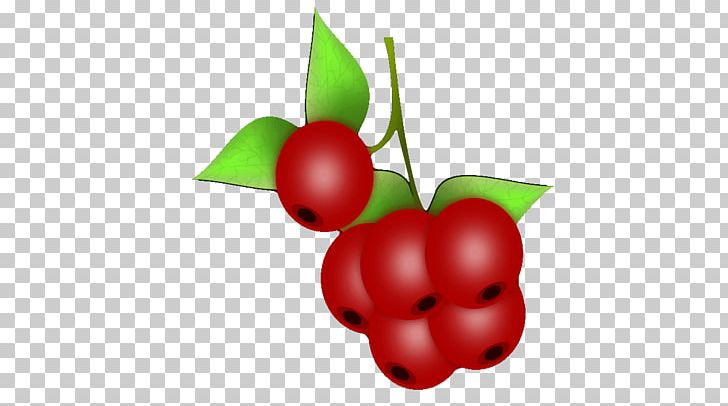 Barbados Cherry Food Cherry Blossom PNG, Clipart, Accessory Fruit, Acerola, Acerola Family, Apple, Aquifoliaceae Free PNG Download
