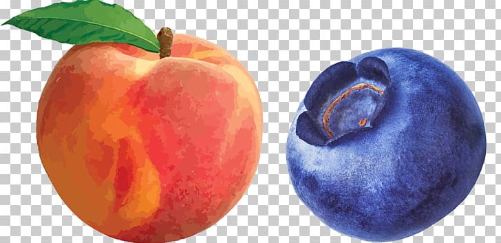 Palisade Peach PNG, Clipart, Accessory Fruit, Apple, Bbcode, Blueberries, Computer Icons Free PNG Download