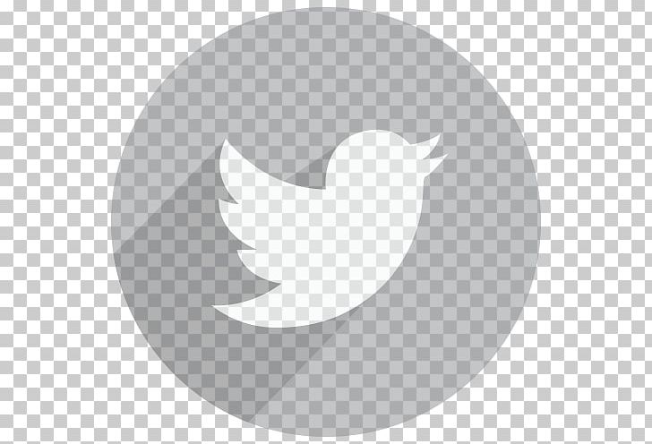Tweetbot Computer Icons BlackBerry 10 PNG, Clipart, Android, Beak, Bird, Blackberry 10, Computer Icons Free PNG Download