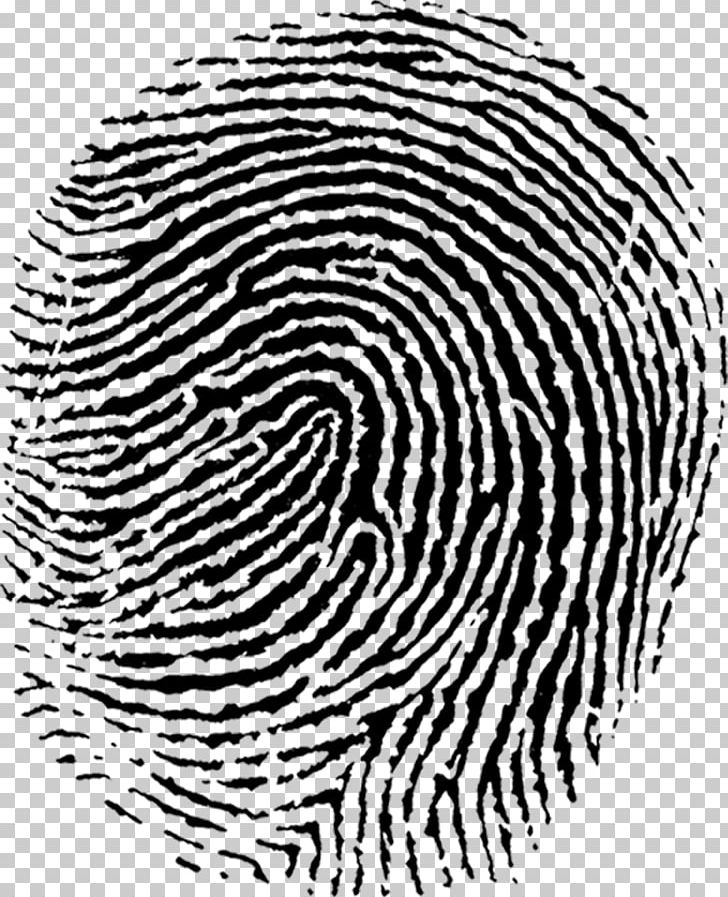 Fingerprint PNG, Clipart, Area, Black, Black And White, Circle, Computer Icons Free PNG Download