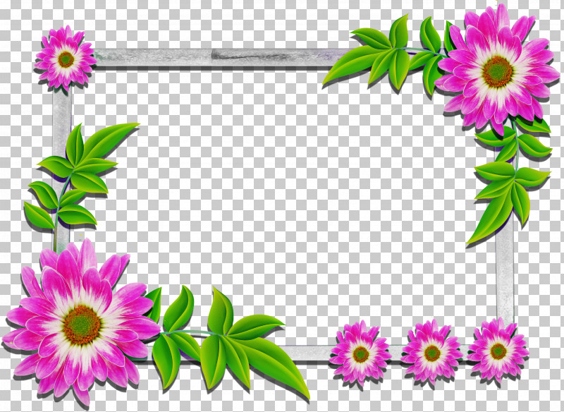 Picture Frame PNG, Clipart, African Daisy, Aster, Cut Flowers, Flower, Ice Plant Family Free PNG Download