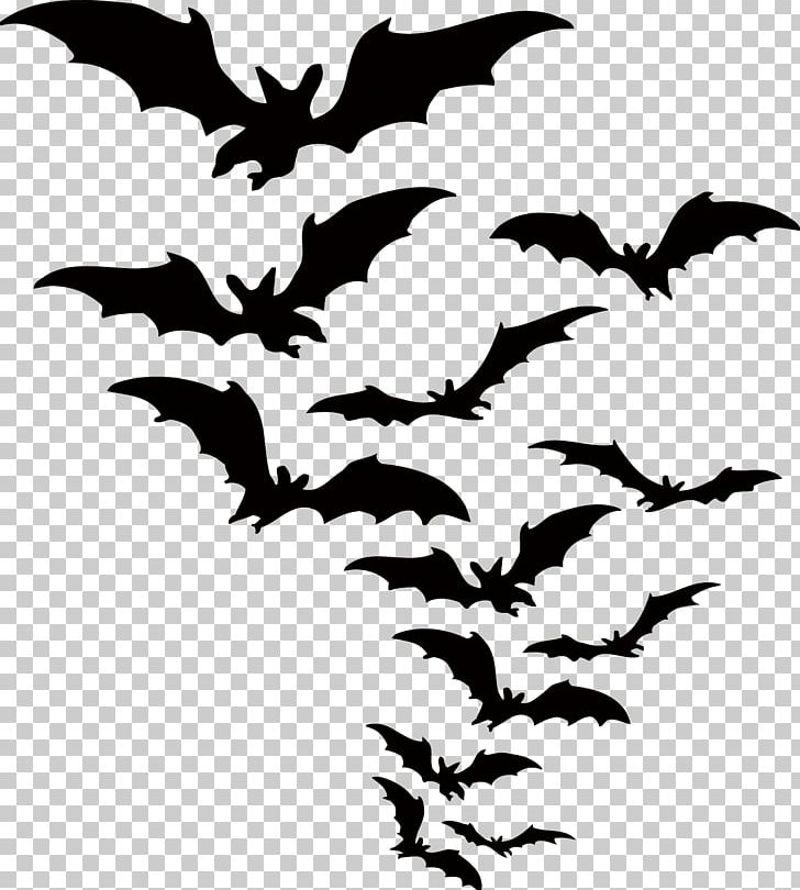 Bat Halloween PNG, Clipart, Branch, Cartoon, Design, Flower, Halloween Bat Free PNG Download