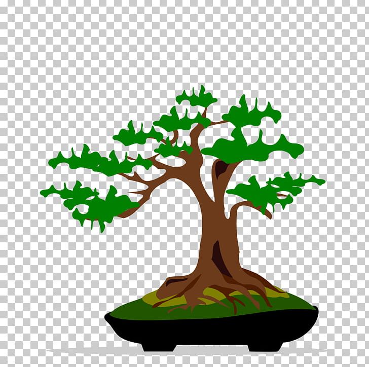 Bonsai Tree Ficus Retusa PNG, Clipart, Artwork, Bonsai, Branch, Computer Icons, Ficus Retusa Free PNG Download