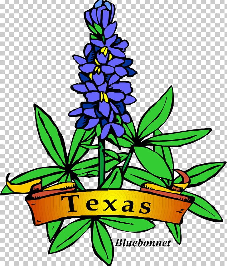 Texas Bluebonnet Texas Bluebonnet Drawing PNG, Clipart, Art, Artwork, Bluebonnet, Clip, Clip Art Free PNG Download