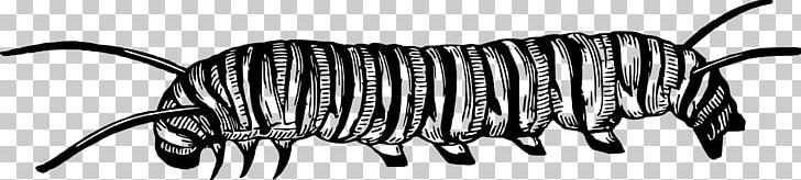 Caterpillar Black And White PNG, Clipart, 20171209, Animal, Animal Figure, Animals, Big Cats Free PNG Download