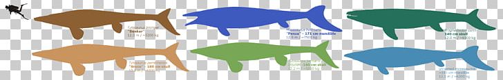 Mosasaurs Reptile Mosasaurus Tylosaurus Art PNG, Clipart, Art, Blue, Brand, Camel Like Mammal, Computer Wallpaper Free PNG Download