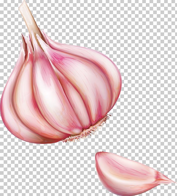 Red Onion Vegetable PNG, Clipart, Computer Wallpaper, Decorative, Decorative Pattern, Delicious, Delicious Food Free PNG Download