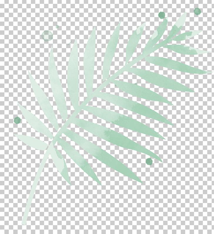 Arecaceae Leaf Plant Stem Line Branching PNG, Clipart, Arecaceae, Arecales, Branch, Branching, Green Free PNG Download