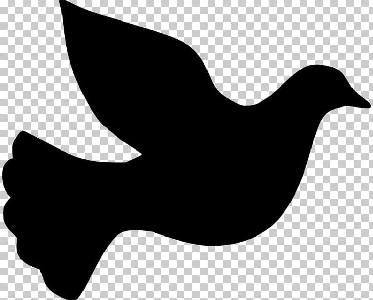 Columbidae Silhouette PNG, Clipart, Animals, Barbary Dove, Beak, Bird, Black And White Free PNG Download