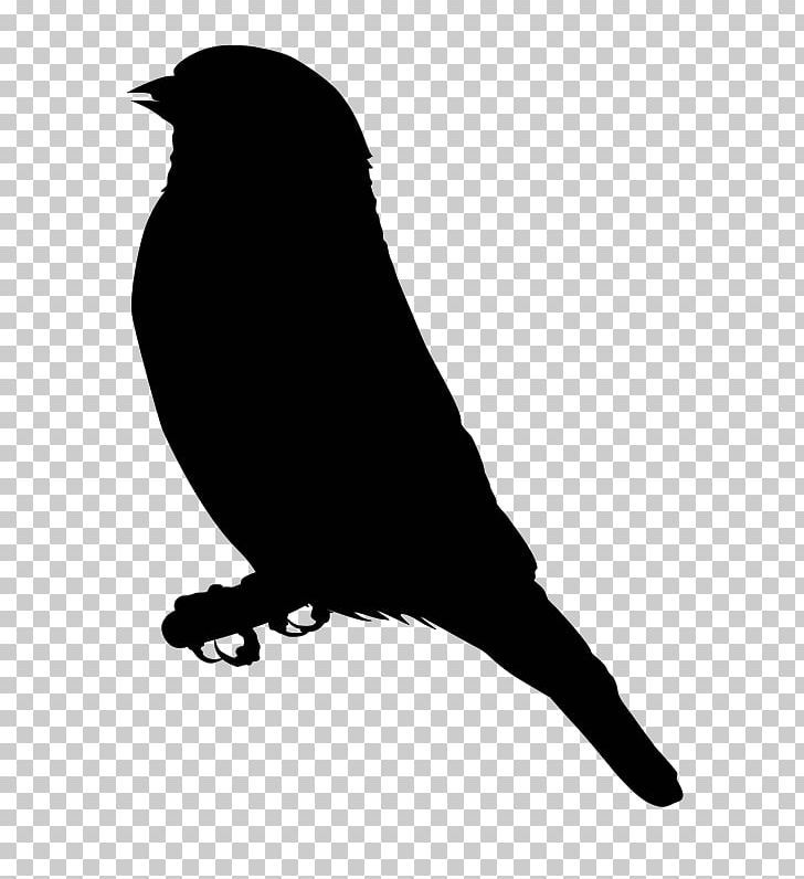 Finches PNG, Clipart, Beak, Bird, Black And White, Computer Icons, Desktop Wallpaper Free PNG Download