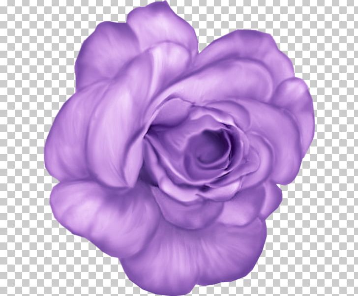 Watercolor Painting Oil Paint Art Rose PNG, Clipart, Art, Blue, Cut Flowers, Deco, Drawing Free PNG Download