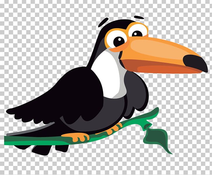 Bird Toucan Parrot PNG, Clipart, Animals, Artwork, Beak, Bird, Duck Free PNG Download