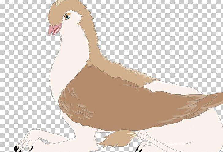 Duck Goose Feather Beak PNG, Clipart, Animals, Beak, Bird, Chicken, Chicken As Food Free PNG Download