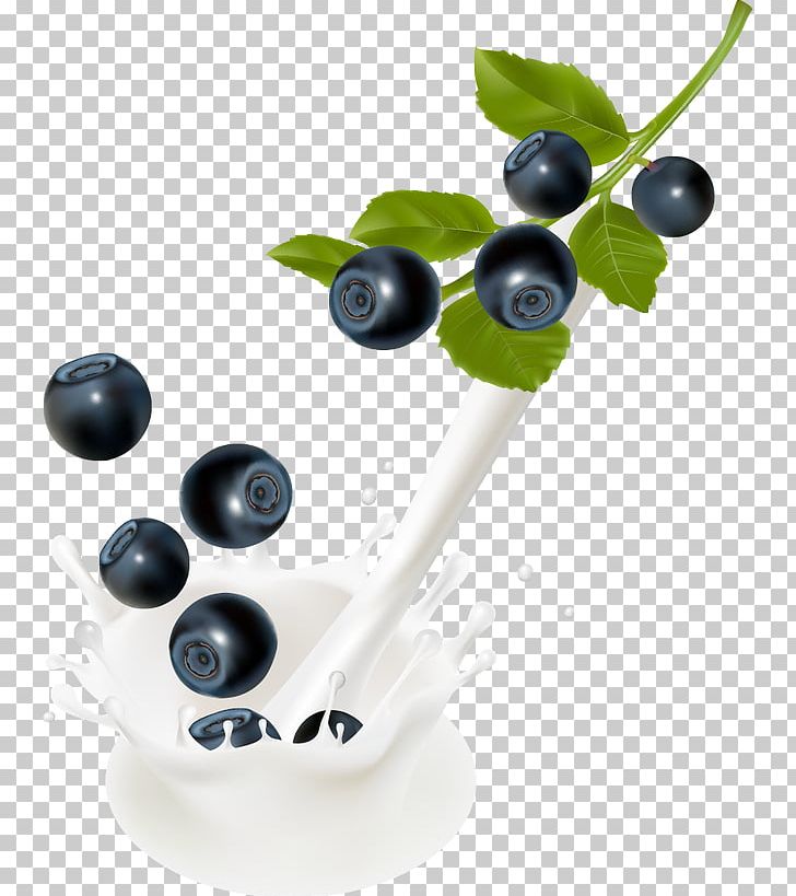 Milk Bilberry PNG, Clipart, Berry, Bilberry, Blueberry, Blueberry Vector, Clip Art Free PNG Download