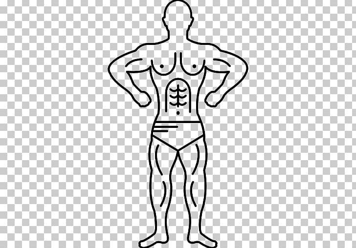 Muscle Computer Icons Encapsulated PostScript Muscular System PNG, Clipart, Abdomen, Arm, Biceps, Black, Bodybuilding Free PNG Download