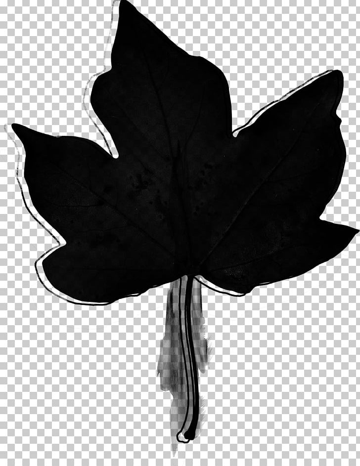 Photography Black And White PNG, Clipart, Art, Black And White, Designer, Film Frame, Flower Free PNG Download
