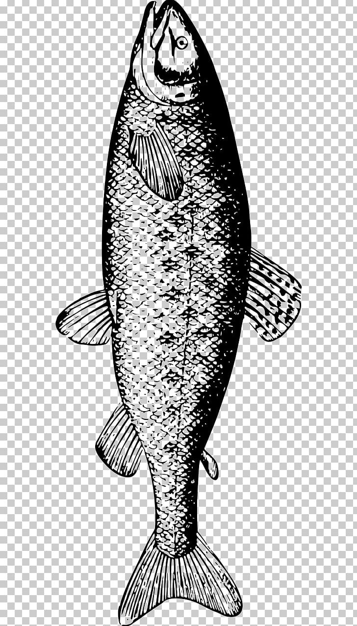 Fishing Trilogy Fish Company Ltd. White Species PNG, Clipart, Animals, Black And White, Class, Fish, Fishing Free PNG Download