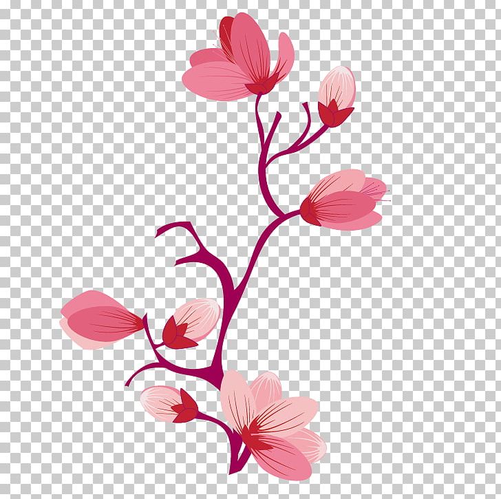 Flower Cherry Blossom Cerasus Petal Floral Design PNG, Clipart, Article, Blossom, Branch, Cerasus, Cherry Blossom Free PNG Download