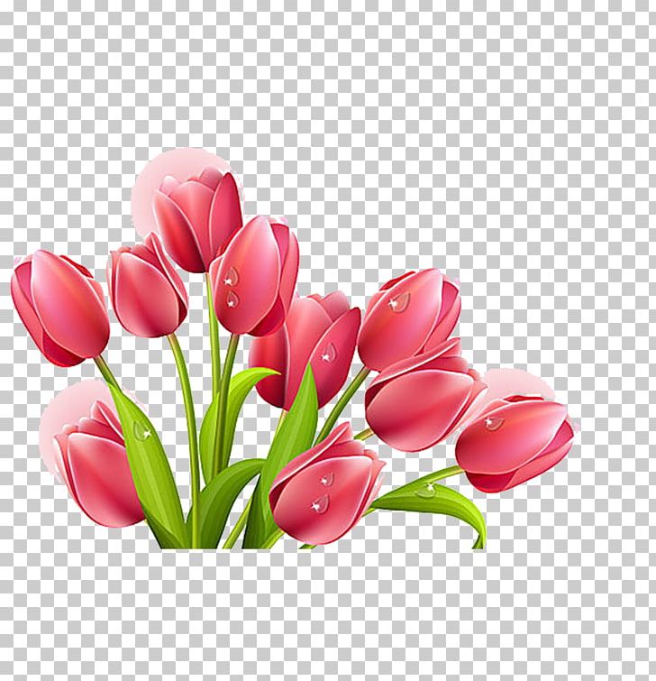 Tulip Flower Bouquet PNG, Clipart, Color, Cut Flowers, Drawing, Floral Design, Floristry Free PNG Download
