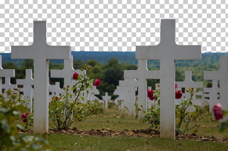 Verdun Memorial Battle Of Verdun Cemetery Tourist Attraction PNG, Clipart, Attractions, Cemetery, Cemetery Vector, City Landscape, Flower Free PNG Download