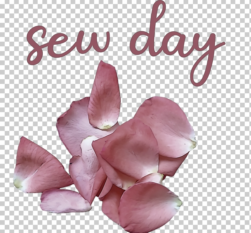 Sew Day PNG, Clipart, Cut Flowers, Flower, Meter, Petal, Rose Free PNG Download
