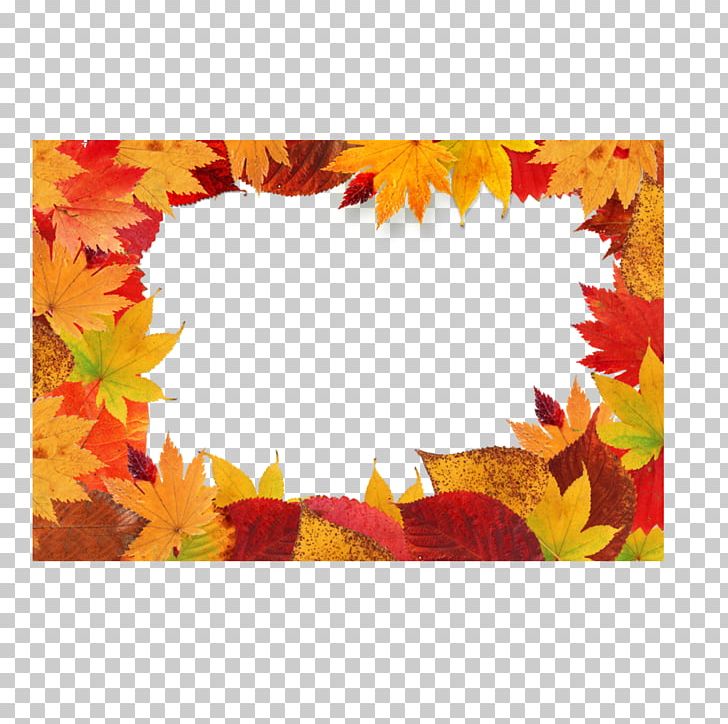 Autumn Leaf Color PNG, Clipart, Autumn, Autumn Leaf, Autumn Leaf Color, Clip Art, Display Resolution Free PNG Download