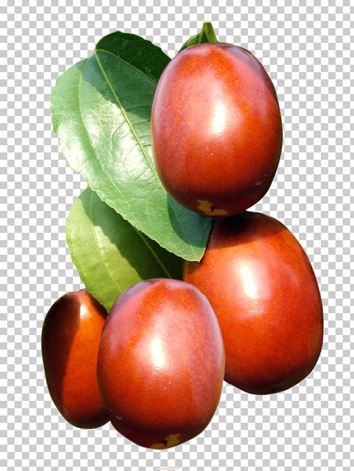 Indian Jujube Fruit Tree Auglis PNG, Clipart, Child, Eating, Food, Fruit, Good Morning Free PNG Download