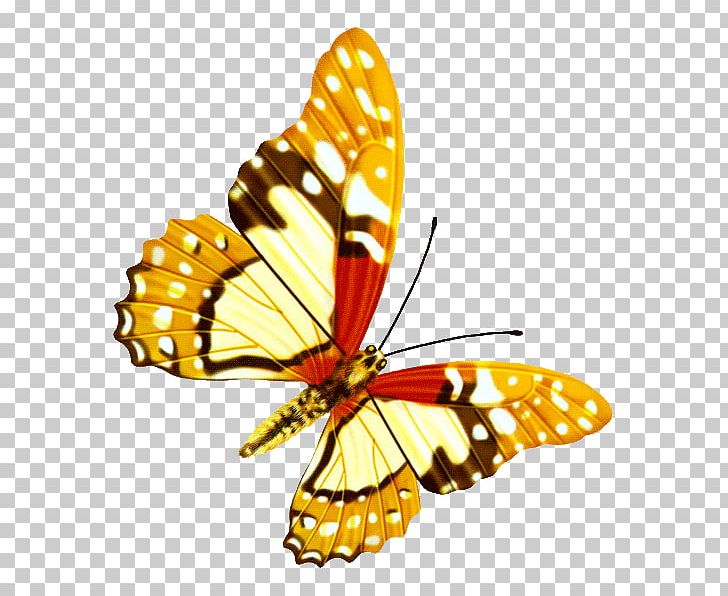 Butterfly Icon PNG, Clipart, Arthropod, Brush Footed Butterfly, Butterflies, Butterfly Group, Color Free PNG Download