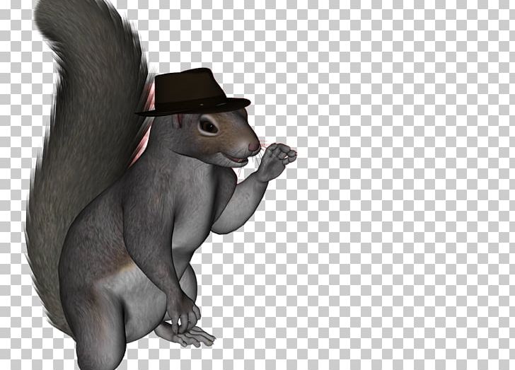 Rodent Squirrel Mammal Animal Marsupial PNG, Clipart, Animal, Animals, Fauna, Mammal, Marsupial Free PNG Download