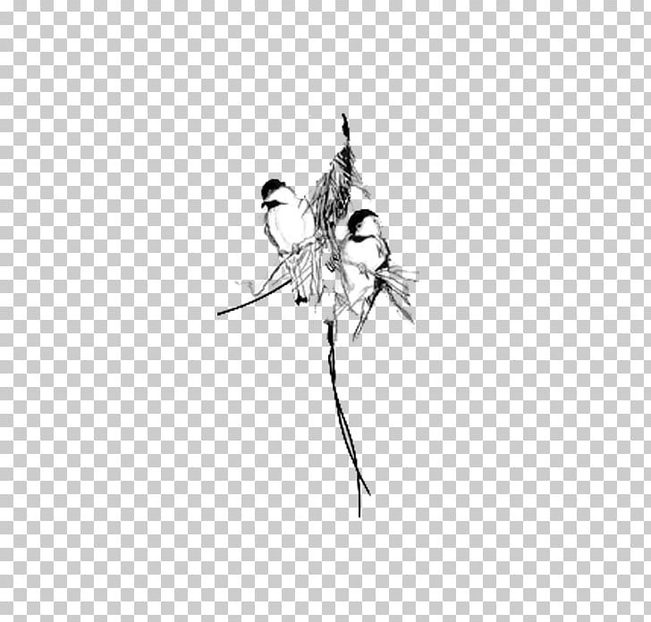 Bird Flight Black And White PNG, Clipart, Animals, Bird, Bird Cage, Branch, Computer Free PNG Download