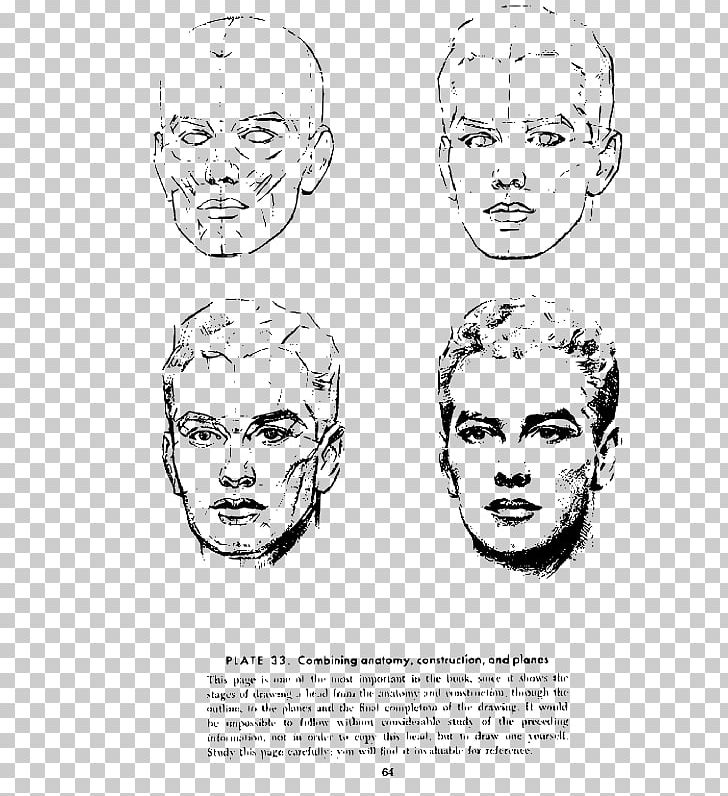 Andrew Loomis Drawing The Head And Hands Human Anatomy PNG, Clipart, Anatomy, Andrew Loomis, Area, Cheek, Drawing The Head And Hands Free PNG Download