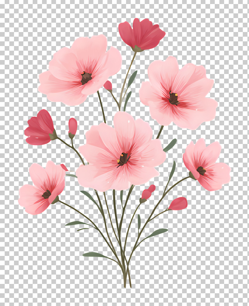 Pink Floral Bouquet Illustration PNG
