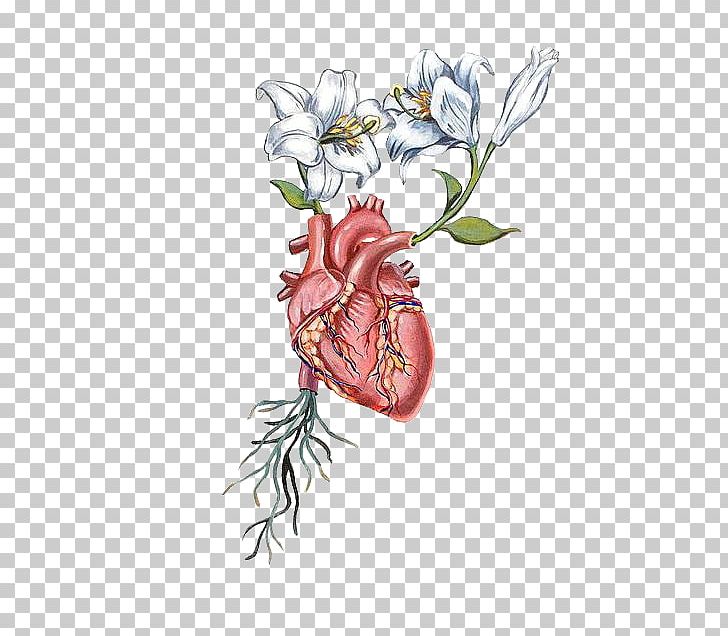 Heart Anatomy Flower Drawing PNG, Clipart, Anatomy, Aorta, Art, Breathing, Coronary Arteries Free PNG Download