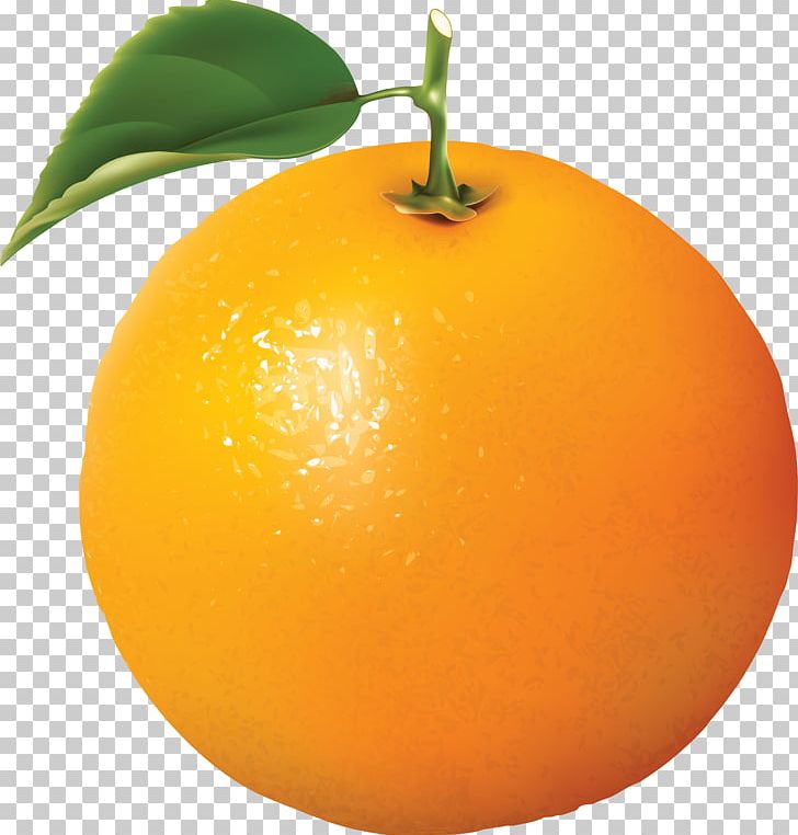 Orange Juice PNG, Clipart, Art, Bitter Orange, Cartoon, Citrus, Fit Free PNG Download