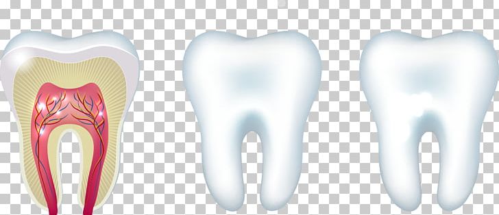 Tooth PNG, Clipart, Aerial View, Cartoon, Cartoon Tooth, Computer Graphics, Happy Birthday Vector Images Free PNG Download