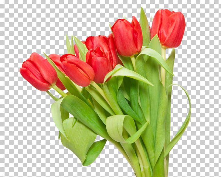 Tulip Flower Bouquet PNG, Clipart, Bud, Cut Flowers, Digital Image, Floral Design, Floristry Free PNG Download