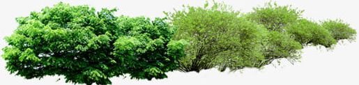 Green A Row Of Trees PNG, Clipart, Green, Green Clipart, Green Clipart, Row, Row Clipart Free PNG Download