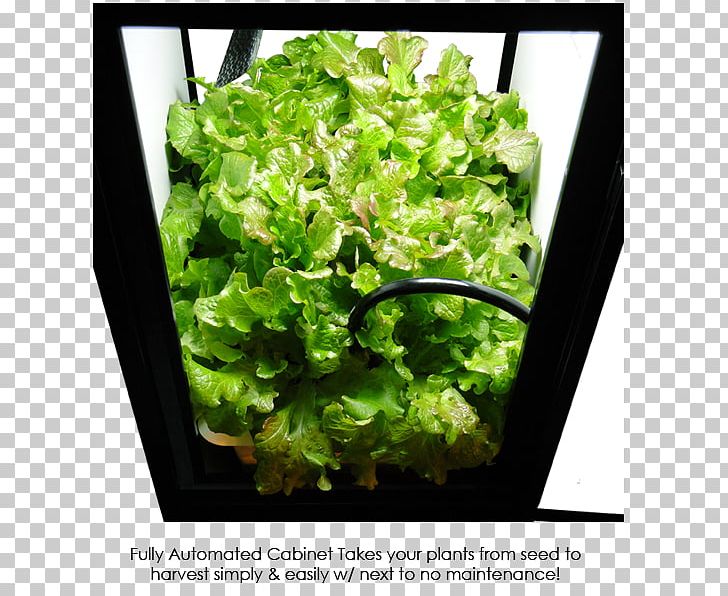 Hydroponics Grow Box Flowerpot Cabinetry Deep Water Culture PNG, Clipart, Cabinetry, Closet, Compact Fluorescent Lamp, Crop, Deep Water Culture Free PNG Download