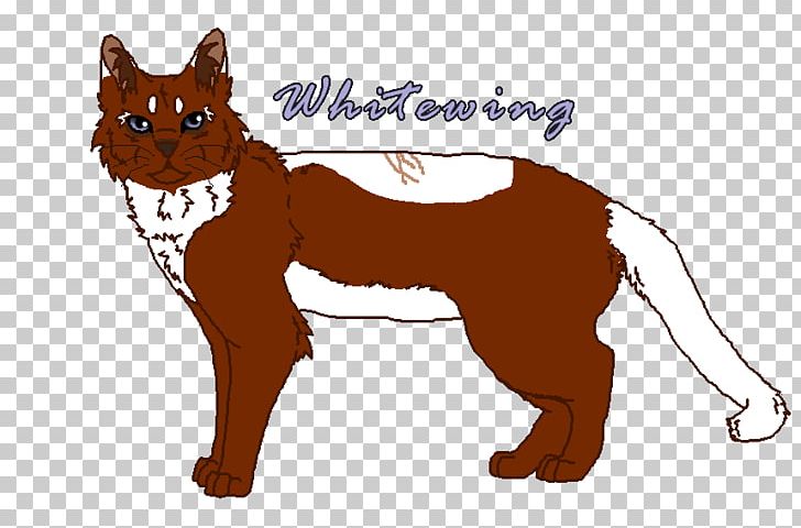 Whiskers Dog Breed Cat PNG, Clipart, Animals, Breed, Breed Group Dog, Carnivoran, Cat Free PNG Download